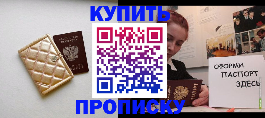 прописка гарантия в Стародубе